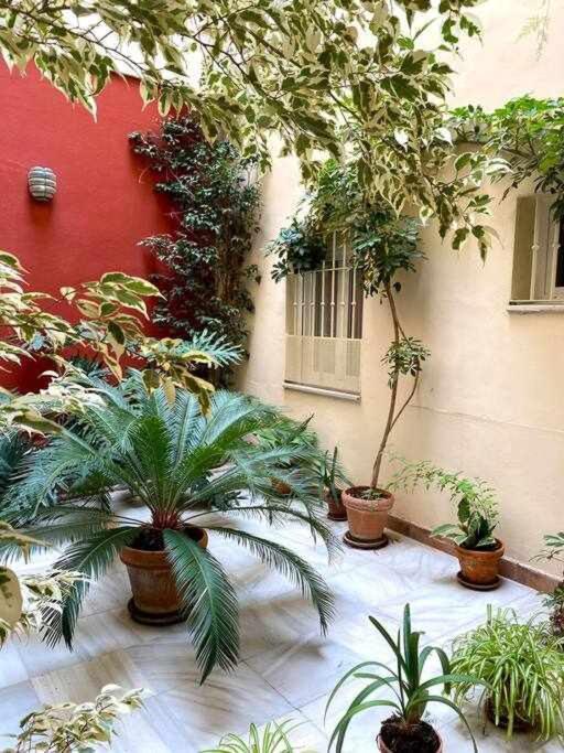 Acogedor Y Tranquilo Cerca De Las Setas - Centro Sevilla Exteriör bild